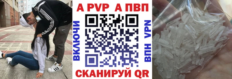  COCAIN Судогда