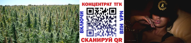 ТГК Wax купить наркотики сайты Судогда