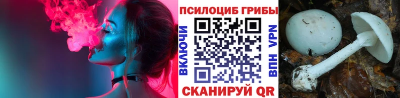 сайты даркнета телеграм  Судогда  Псилоцибиновые грибы прущие грибы 
