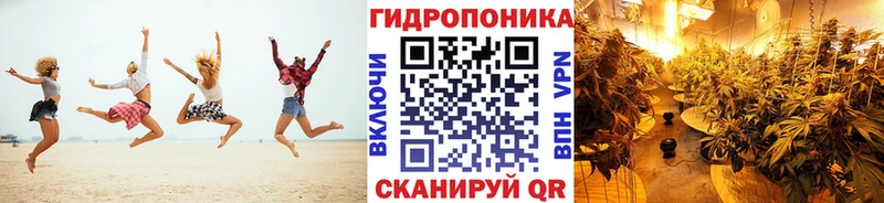 Бошки Шишки Ganja  Судогда 